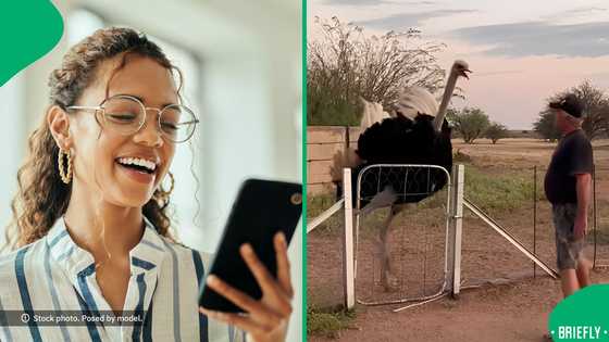 "The rest is history": Oom's dangerous mistake with ostrich amuses South Africans
