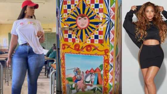 Weekly wrap: R940k Fridge, teacher stuns Twitter and Beyonce's daughter