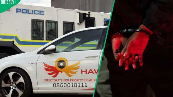 Hawks bust multimillion-rand mandrax lab in Erasmia, 2 foreign nationals arrested
