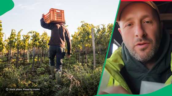 "Earning dollars helps a lot": Afrikaner gets candid about working in US as farmer