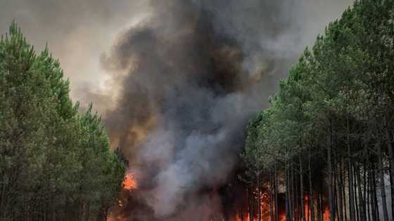 Arson suspected as huge French wildfire reignites