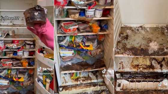 TikTok of woman cleaning fridge for 1st time in 3 years goes viral with 5.3M views over free service