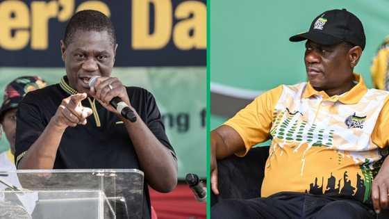 ANC's Mashatile appeals for extended mandate amid persistent challenges