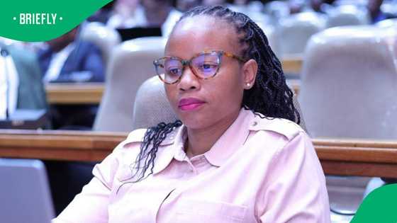 Tshwane mayor Nasiphi Moya outraged by Mamelodi cousins' murders