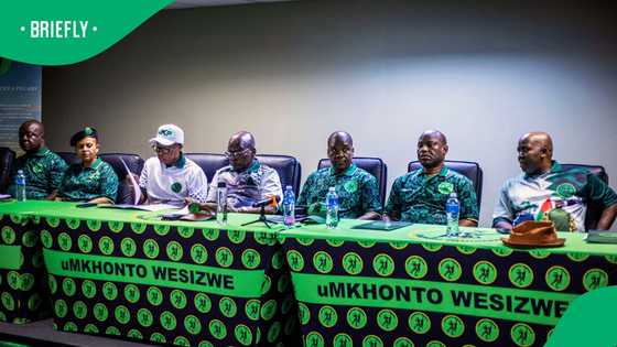 MK Party submits bill to exclude foreign nationals from spaza shop ownership