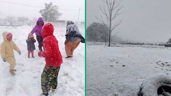 Snowfall in South Africa: Mzansi surprised as numerous provinces experience unexpected weather