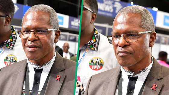 IFP asserts kingmaker role in coalition negotiations