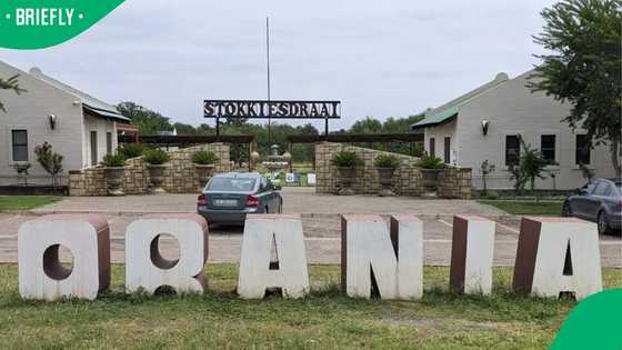 "A lush oasis": Afrikaner proudly shows difference in Orania in the 1970s vs now