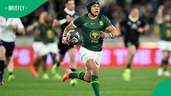 Cheslin Kolbe nears stunning return as Stormers pull off Springbok heist