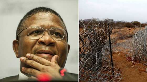 Mbabula says illegal migrants are a heavy financial burden on SA, citizens weigh in