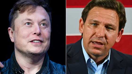 Is Musk's DeSantis show a winning ticket for Twitter?