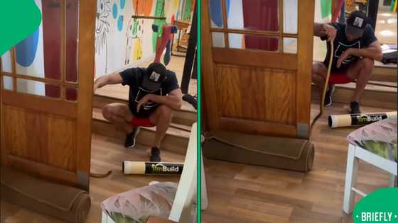 “Oh God”: Stellenbosch snake handler catches deadly Cape cobra in kids’ play area