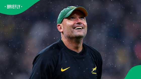 Former Springboks coach Jacques Nienaber signs long term deal with Leinster