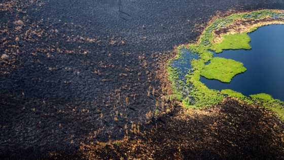 Arctic fires could release catastrophic amounts of C02: study