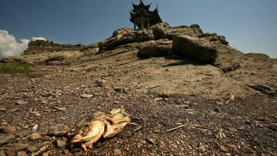 China warns of 'severe' threat to harvest from worst heatwave on record