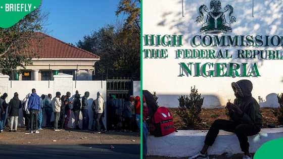 Nigerians in South Africa appeal to DIRCO and government for help returning home, SA debates