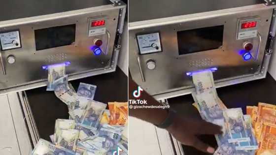 Viral video of money printing machine amazes Mzansi and has peeps writing letters to Santa for their own
