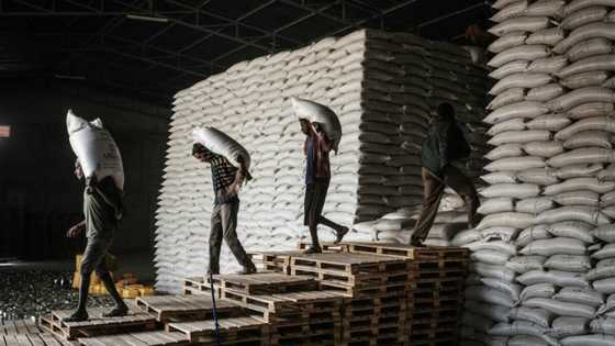 UN says aid halted to Ethiopia's Tigray after renewed clashes