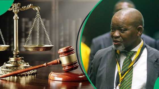 ANC's Gwede Mantashe in hot water over Bosasa bribery allegations