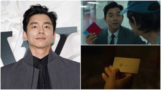 Man whose phone number appeared in 'Squid Game' movie gets thousands of calls, Netflix reacts