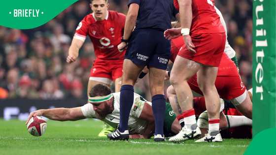 Springboks crush Wales in Cardiff as season ends with statement win