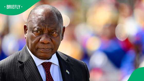 President Cyril Ramaphosa was not consulted about PKTT disbandment