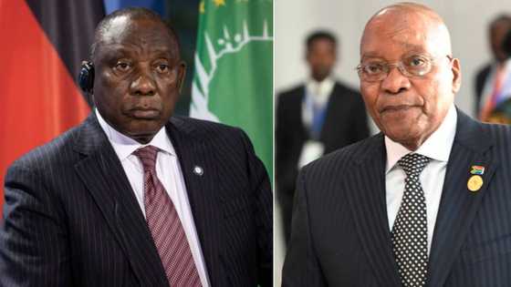 "True Definition of Loyalty": Zuma declares his support for ANC, peeps weigh in