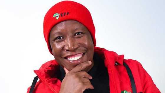 Julius Malema's EFF says no to 'mjolo' during 2nd wave of lockdown