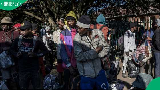 Malawian national plans to return to South Africa legally, says bosses are crying for their workers