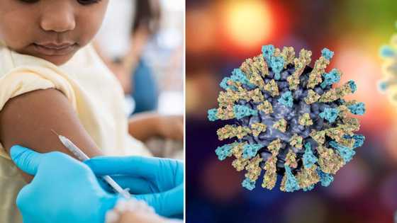 Measles cases on the rise in SA, NICD urges parents to vaccinate their children