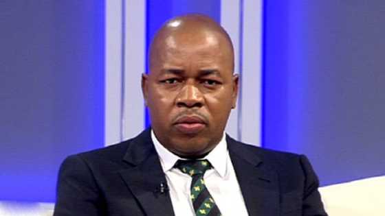 Mzwandile Masina bio: Interesting facts about Ekurhuleni's Executive Mayor