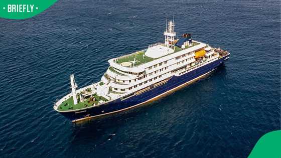 "Stay safe, don’t dock": Social media stunned as video shows inside of hantavirus-hit cruise ship