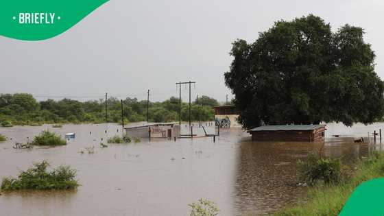 Limpopo floods: missing children's toll rises, South Africans reeling