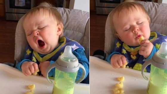 Sleepy take away: Boy munches while half asleep in viral clip, peeps think it's adorbs