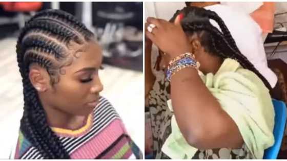 Difference between hairstylist and hair dresser: Reactions to trending clip of lady's braided hair