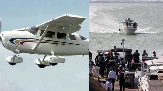 Two people dead after plane crashes during gender reveal stunt