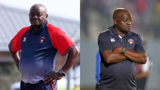 Dan Malesela thinks he deserves a shot at coaching the Chiefs, Pirates or Sundowns
