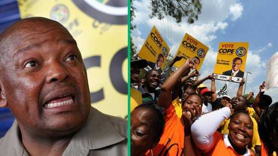 "Good riddance": Mzansi reacts to COPE losing 2 seats in parliament