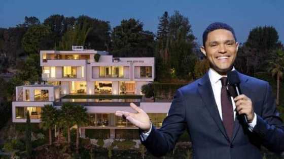 Exquisite images of the new Trevor Noah house