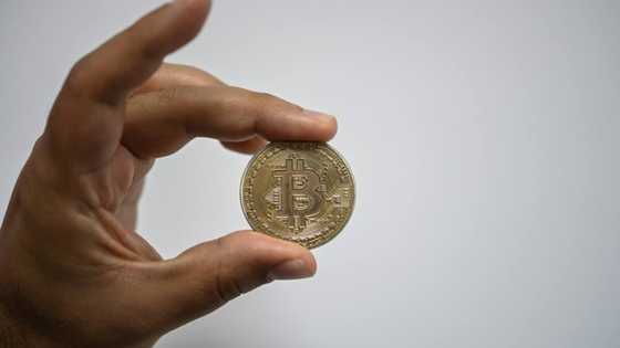 US clampdown has crypto kings looking abroad