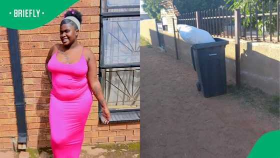 Missing Bacardi artist's body discovered in dustbin, three arrested