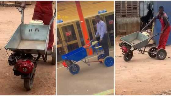 Talented genius builds wheelbarrow and attaches engine, fuel tank & tyres, rides it around in viral video