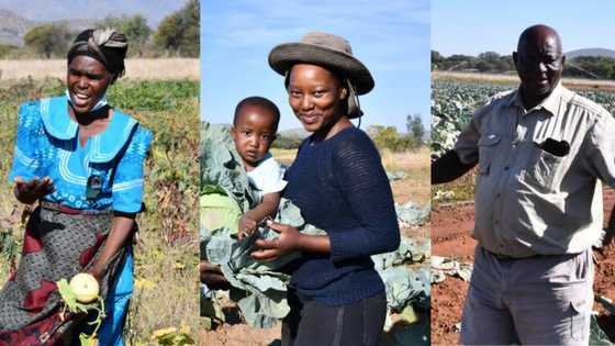 "Our land, our heritage": Locals get land, Cyril Ramaphosa shares pics