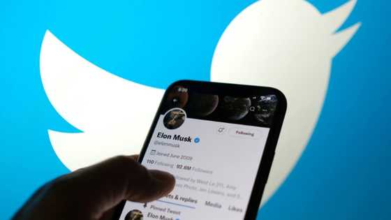 'Stamp of approval': Twitter's Musk amplifies misinformation