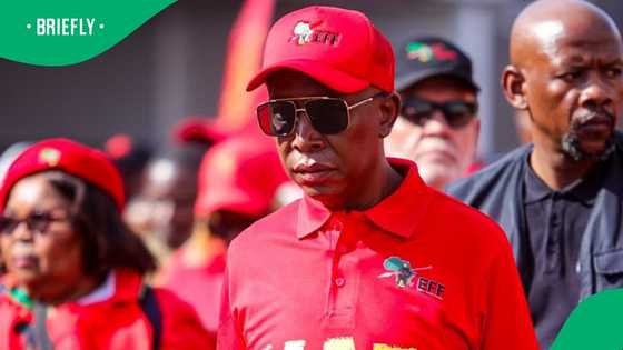 EFF president Julius Malema wants to expropriate the land of the 49 Afrikaners