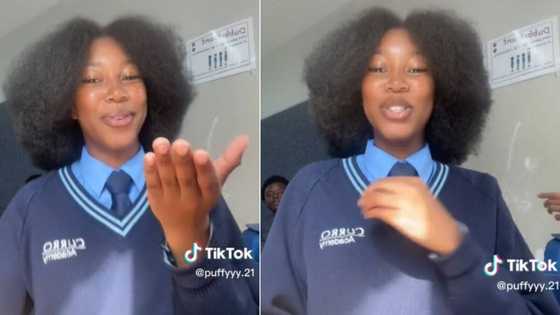 Curro schoolgirl does new amapiano TikTok dance, Mzansi in love as student's 4C afro in video steals the show