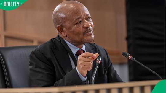 Public Protector confirms investigation into Police Minister Senzo Mchunu is at an advanced stage
