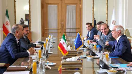 Iran nuclear talks to resume in days: EU's Borrell