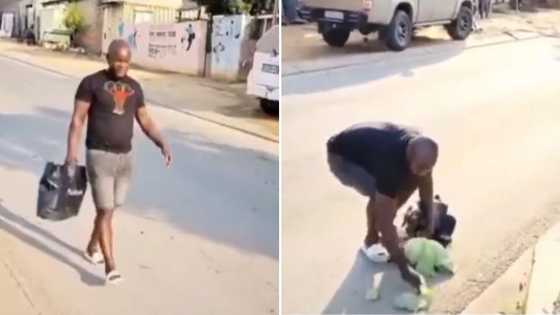 Man left embarrassed as cabbage falls out of designer shopping bag in funny video, SA peeps laugh out loud