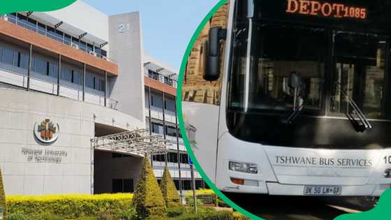 TUT bus registration requirements and procedure (guide)